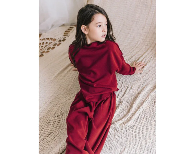 fleece cotton teenage girls clothing sets kids 2018 autumn winter clothes suits girl 2 pcs loose hoodies & wide leg pants suits  (8)