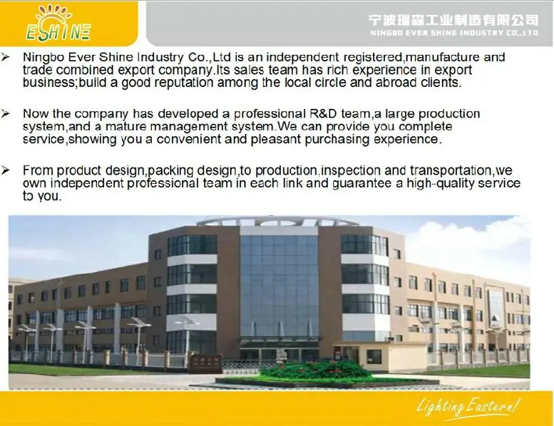 company profile 1