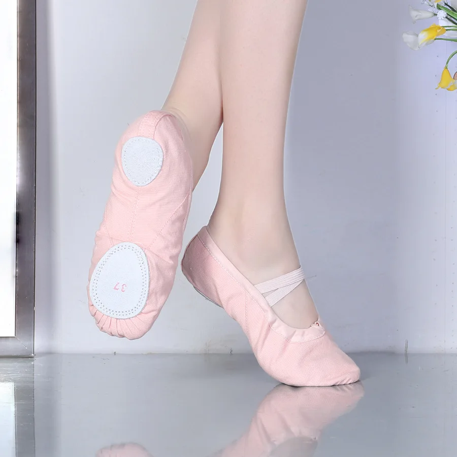 Ballet Shoes  (2)