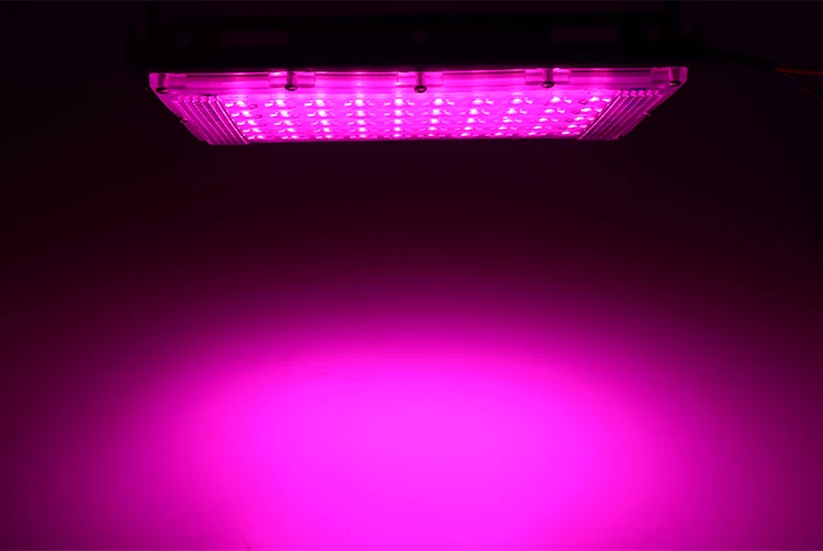 Borbede Led Grow Light 50W Full Spectrum Full Spectrum for Vegetable Flower Indoor Plants Grow Light фитолампа