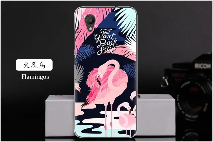  Flamingos