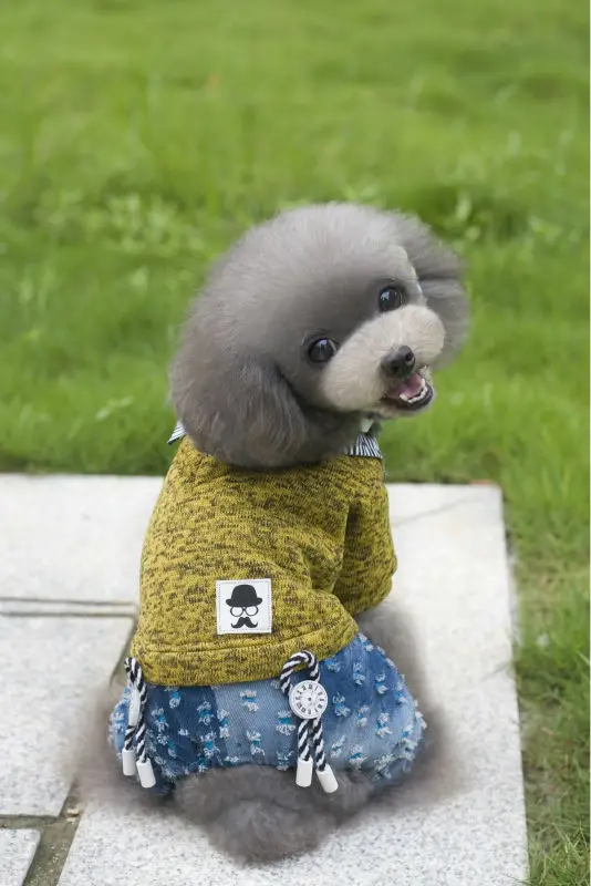 Y117_2016_Winter_Pet_dog_Fleece_sweater_clothes_Lovely_super_Warm_Fleece_4_legs_clothes_for_Puppy_dog_Jumpsuit_Coverall_Costume_Apparel_ (10)
