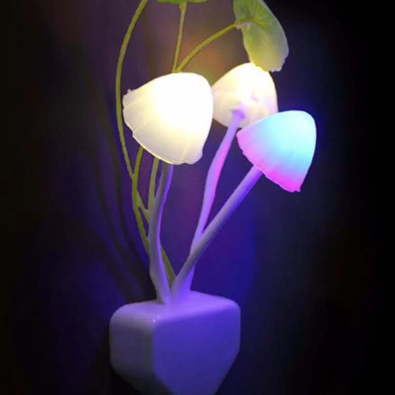 QQ20181205070426