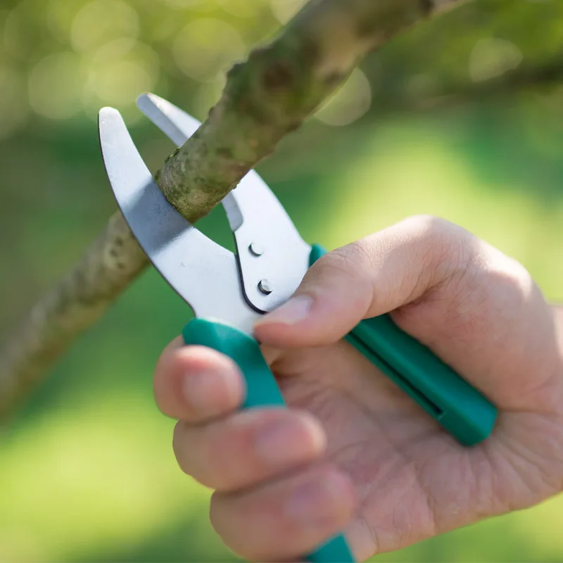 

Anti-slip Ring Cutting Scissors Easy Gardening Pruning Shear stripping bonsai Potted Trim Weed Branches for Grapes Tree Tools