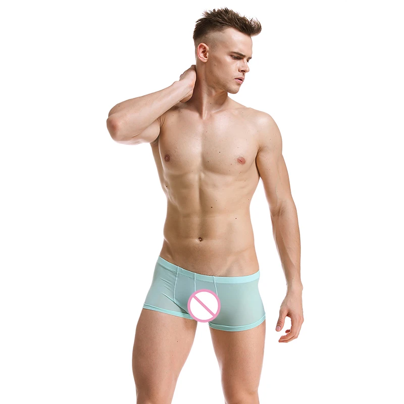 

Ice Silk Boxer Shorts Sexy Mens Underwears Transparent Low Rise Homme Trunks Cuecas Man See Through Underpants