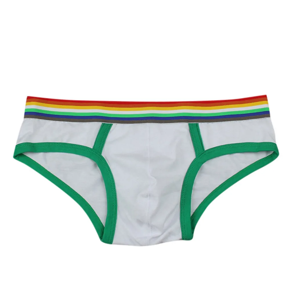 2019 Fashion men's multicolor briefs rainbow cotton briefs swimming shorts breathable men's underwear sexy briefs hombre 40J10 (3)