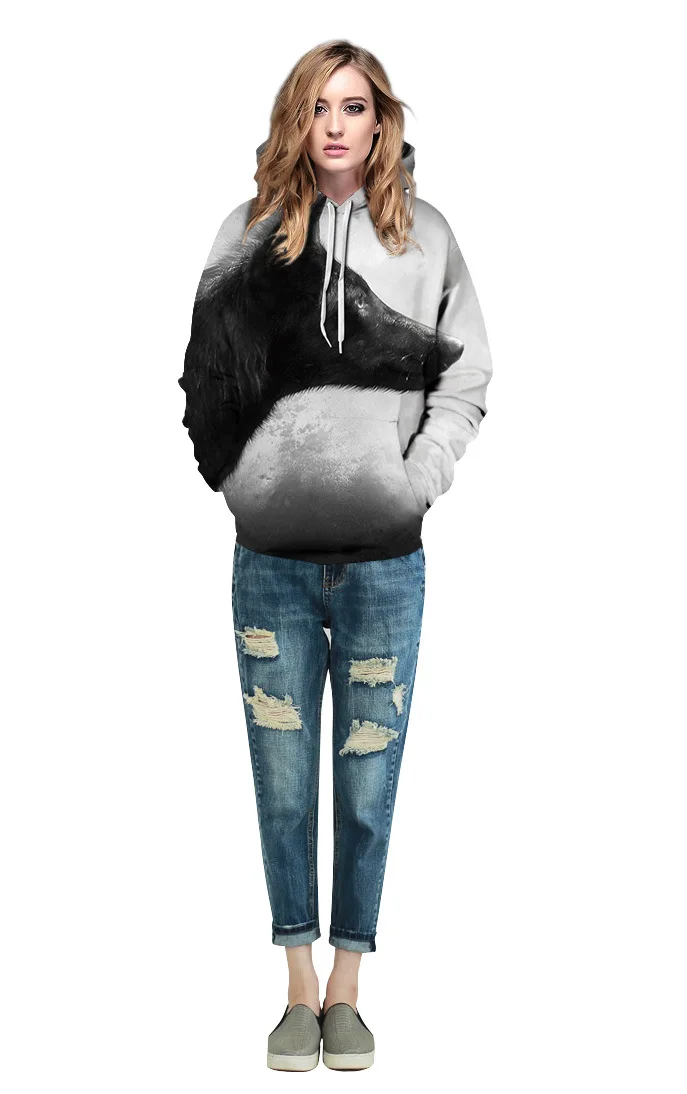 5107296801_1839471836