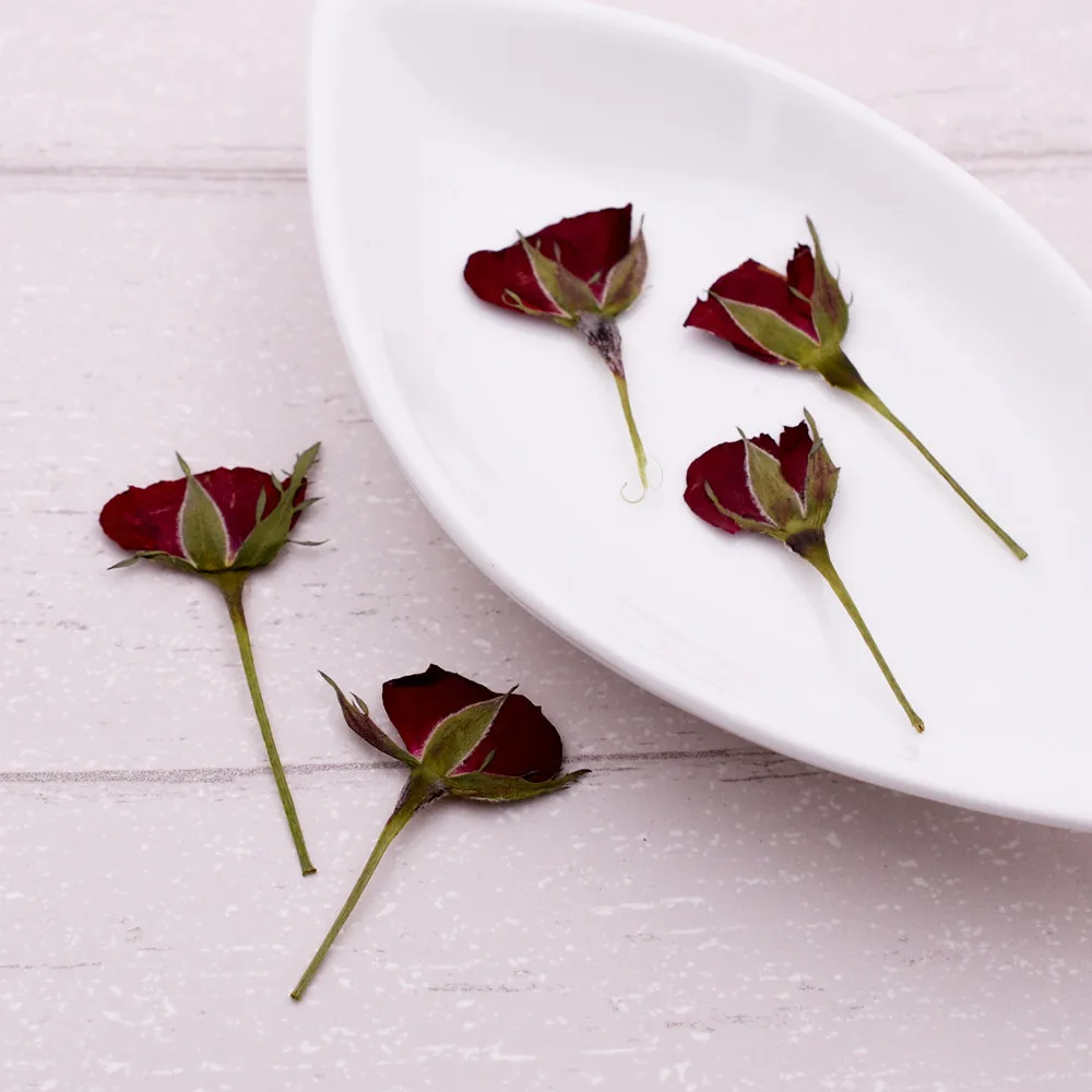 

10pieces rose flower bud with branch Natural Dried Flowers Pressed Herbarium Flower Decorative Crafts filler jewelry findings
