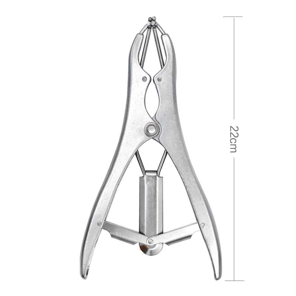 Ветеринарные свиньи и овцы кастрации плоскогубцы резиновое кольцо прибор для кастрации Veterinaria оборудования аксессуары