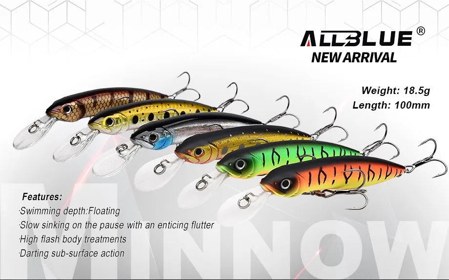 minnow-1_02