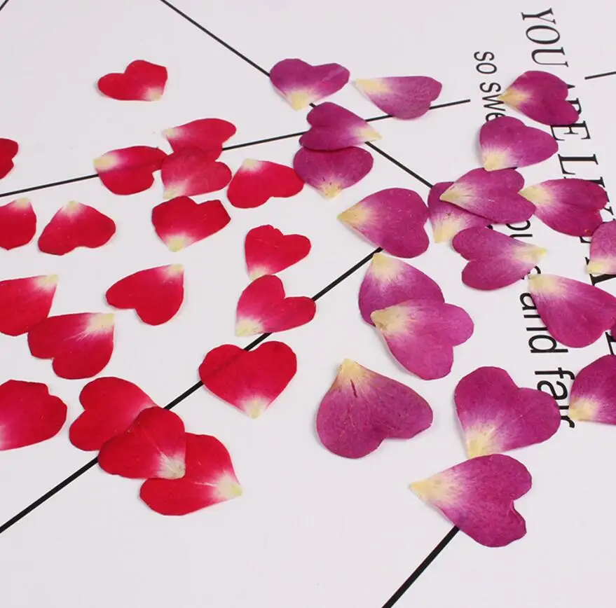 100 шт прессованный высушенный цветок Роза лепесток наполнитель для эпоксидной смолы ювелирных изделий рамка для открытки чехол для телефона ремесло DIY