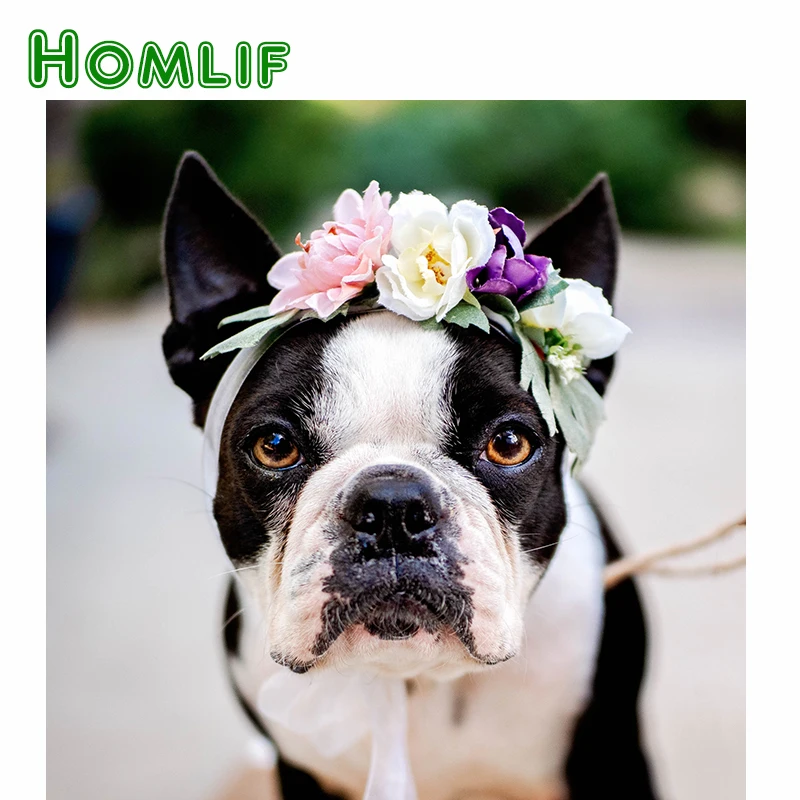 HOMLIF полностью круглое сверло алмазная живопись 5D «сделай сам» животного "Цветы собака" Вышивка крестом 5D Home Decor подарок настенные наклейки