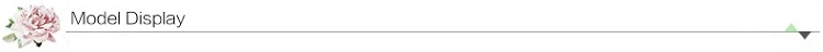 3Model Display