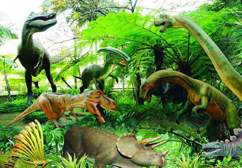 4711153550_869469111