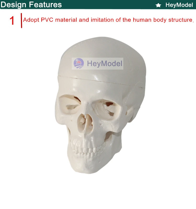 1.PVC_