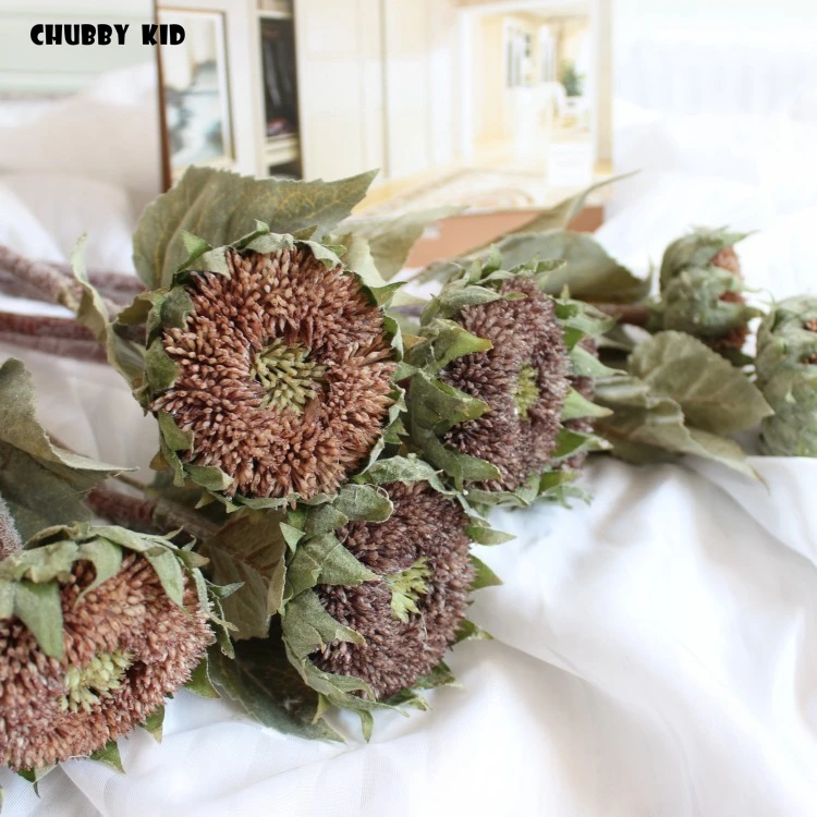 9109049585_2132096240