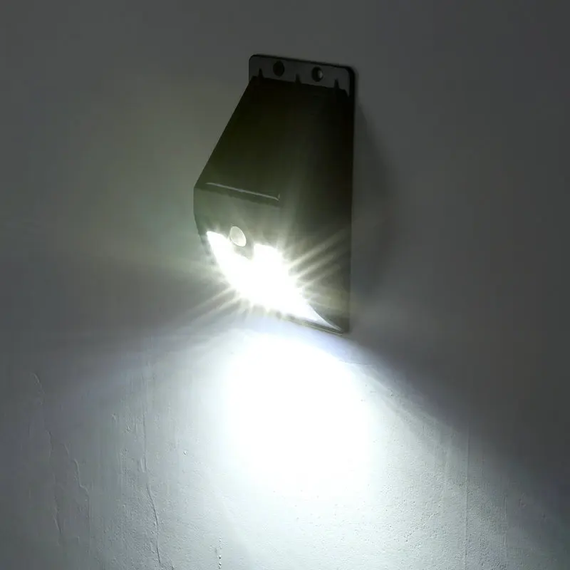 3907225392_1740688223
