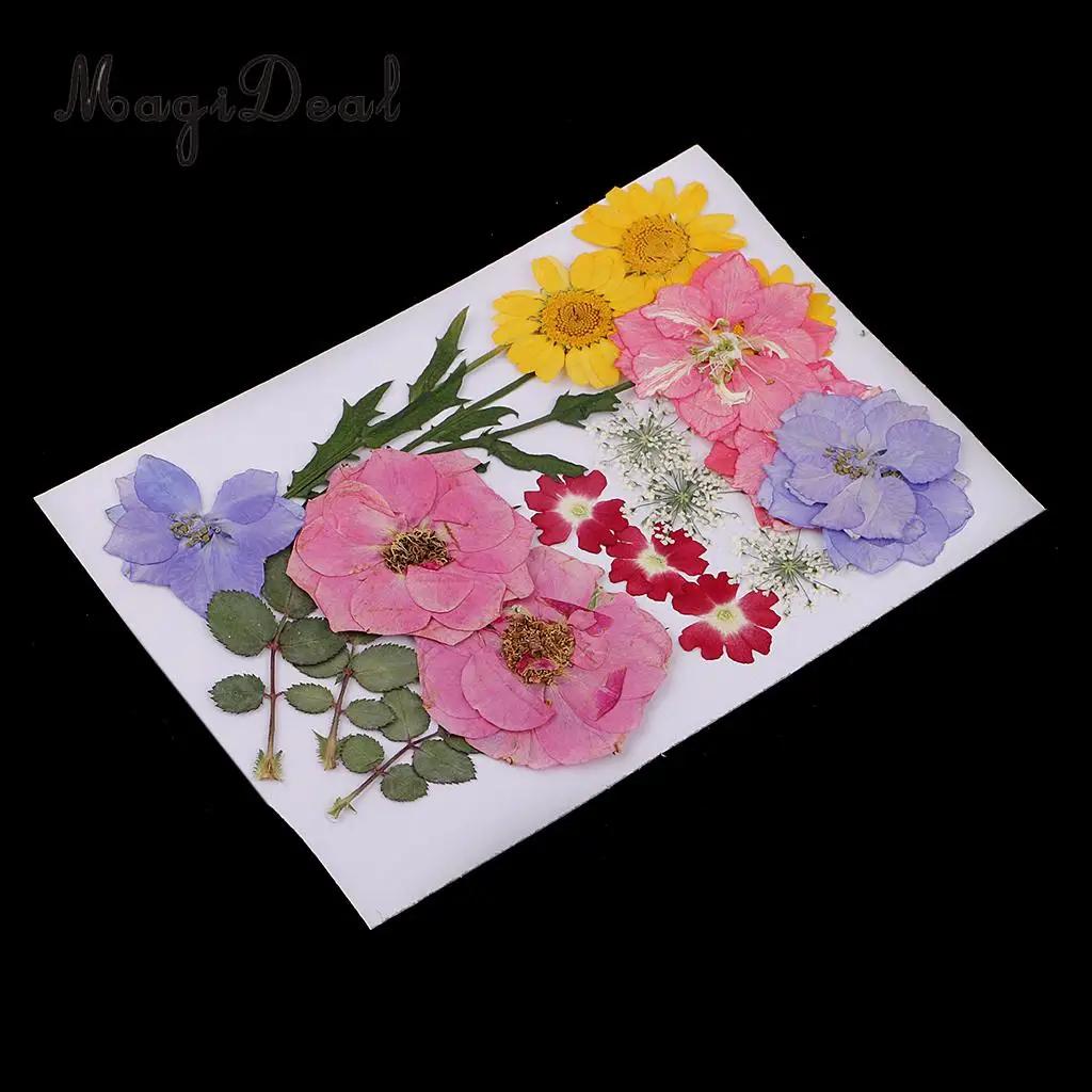 Multiple Real Pressed Leaves Natural Dried Flowers for Arts Crafts Scrapbooking Card Making Resin Jewelry Making Mold Filler
