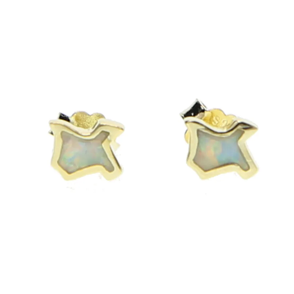 

2017 Direct Selling New Trendy Earrings Earings Guarantee 925 Sterling Delicate Mini Studs Usa Map Unique Women Stud Earring