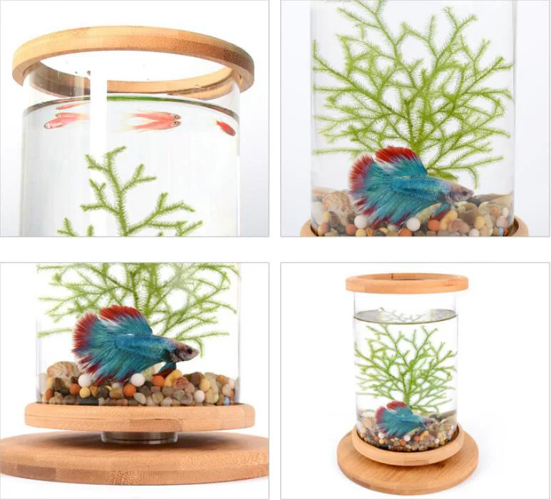 do tanque de peixes mini acessórios decoração