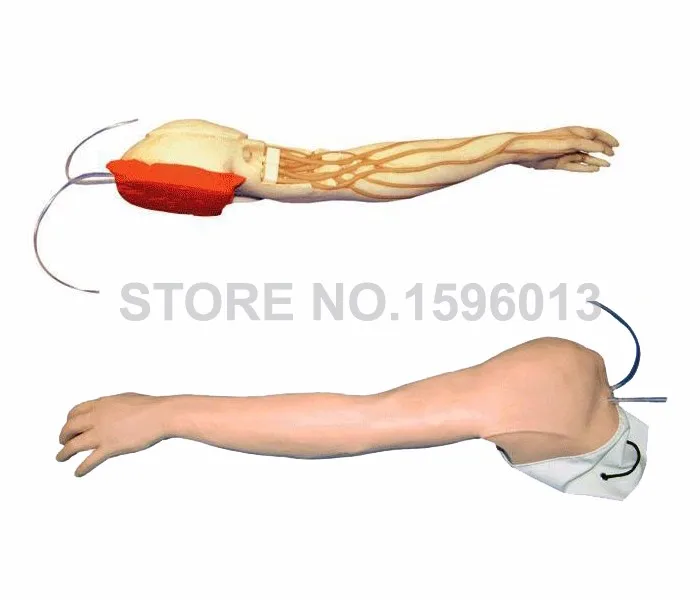 HS39 Full-functional Venipuncture Arm 2