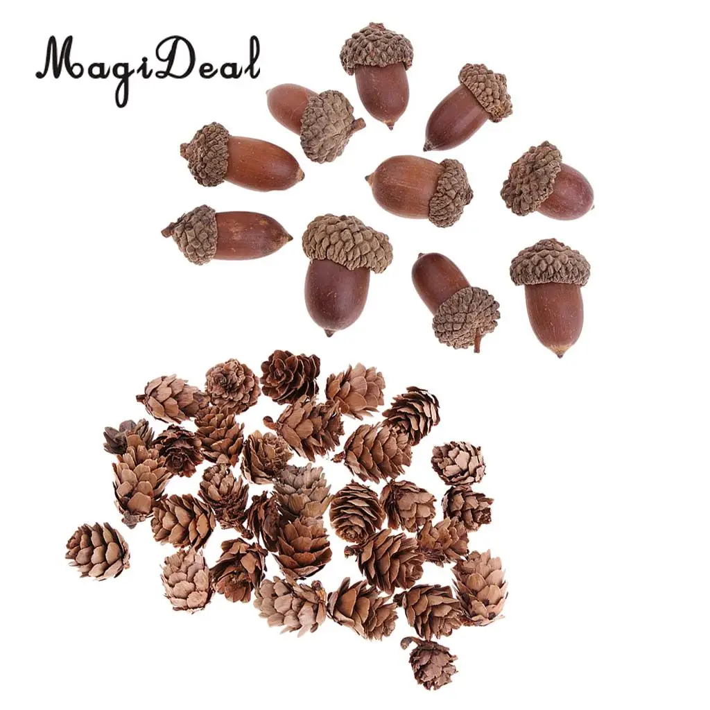 40Pcs Small Natural Pine Cones Acorns In Bulk Dried Flowers Table Ornament for Home Christmas Decoration DIY Craft
