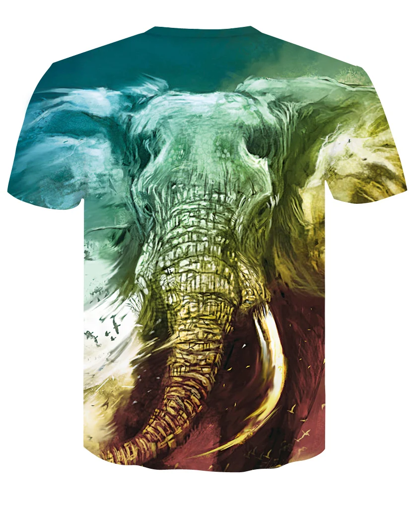 DT007-T-