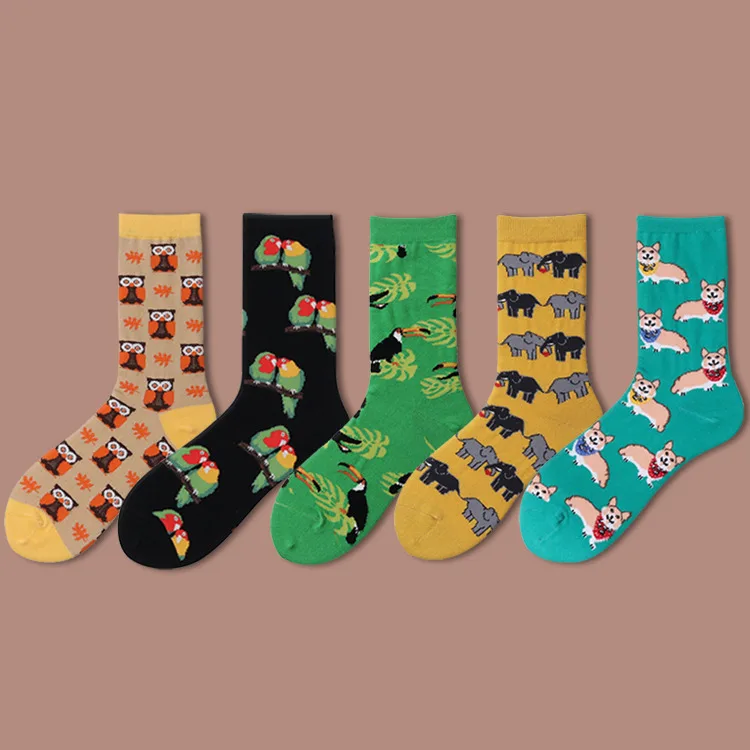 Милые забавные женские Носки с рисунком животных, корейские цветные носки с изображением попугая, собаки, носки с совами, Kawaii Sokken Calcetines