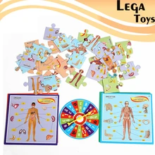 3D самолет человеческого тела головоломка настольная игра раннее образование просвещение бумажная головоломка обучающая структура тела игровой набор