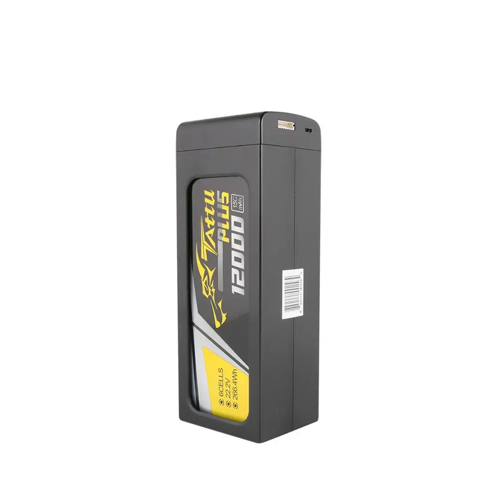 Lipo Battery for Quad (3)