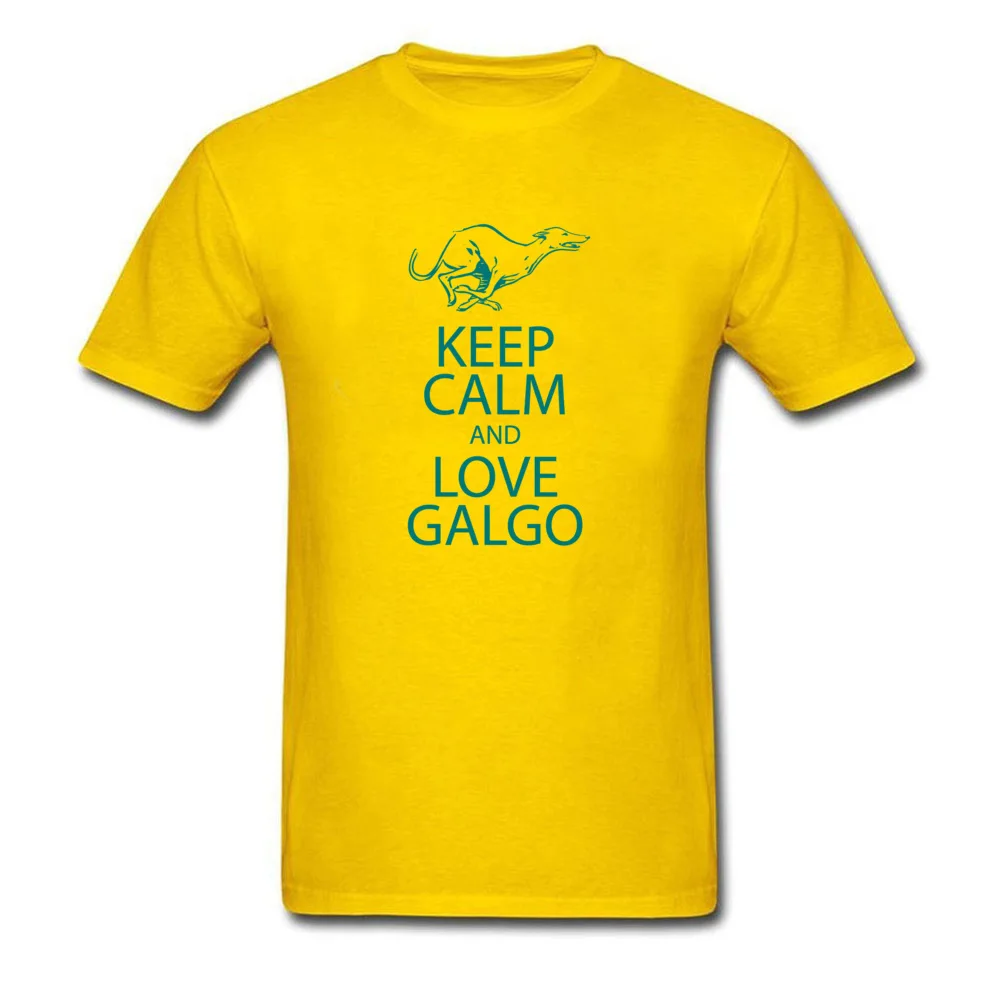 R0087-galgo_yellow