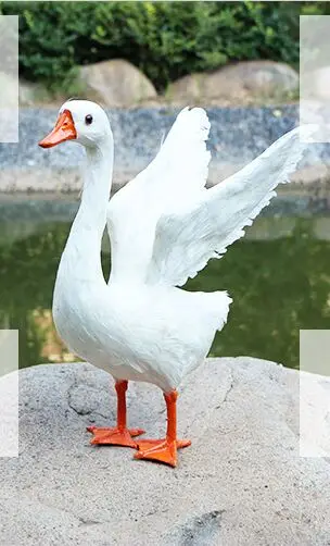 

large 38x31cm white goose with spreading wings model,polyethylene&furs handicraft Figurines & Miniatures decoration gift a2972