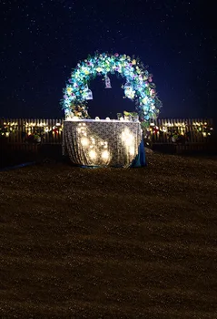 

Vinyl photo background romantic sea wedding light decoration wedding photography backdrop photography foto studio