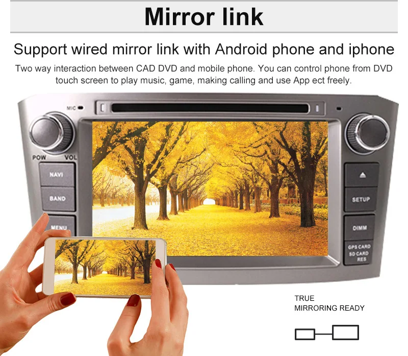 HTB1dNhxXsvrK1Rjy0Feq6ATmVXay