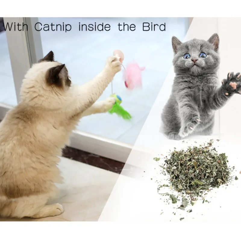 

Window Teaser Wand Sucker Interactive Feather Toy Window Solid Polyester Gatos Teaser Cat Toy Playing Toy