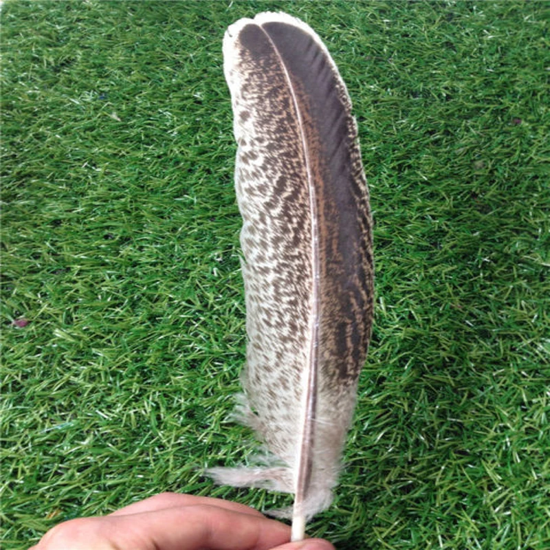 10pcs pretty natural pheasant feathers 25 30cm/10 12inchin Feather