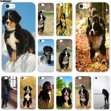 coque iphone 6 bouvier bernois coque iphone 6 bouvier bernois