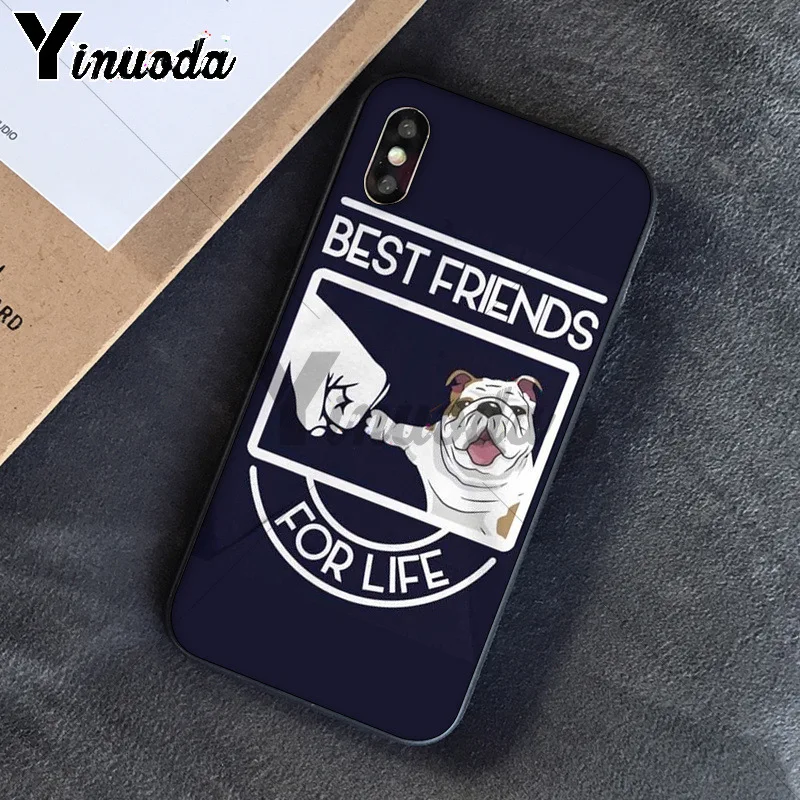 Cute dog english bulldog