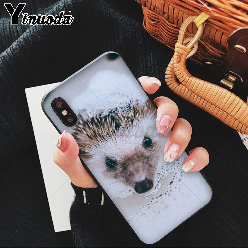 Hedgehog Cute in Teacup Animal Art