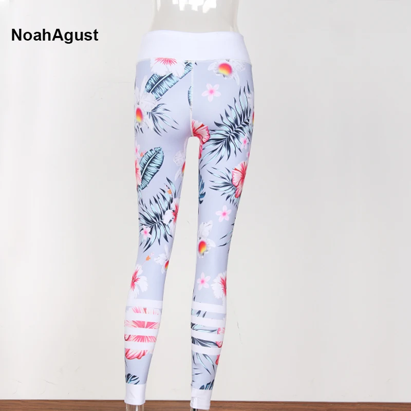Noahagust-106