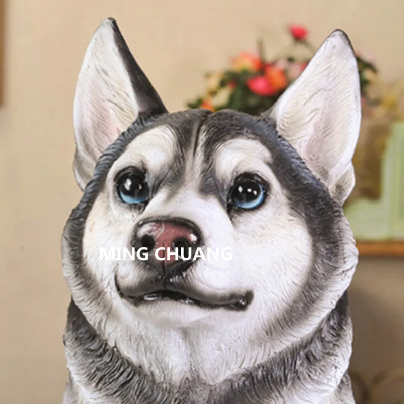 4924918248_1687591839.400x400