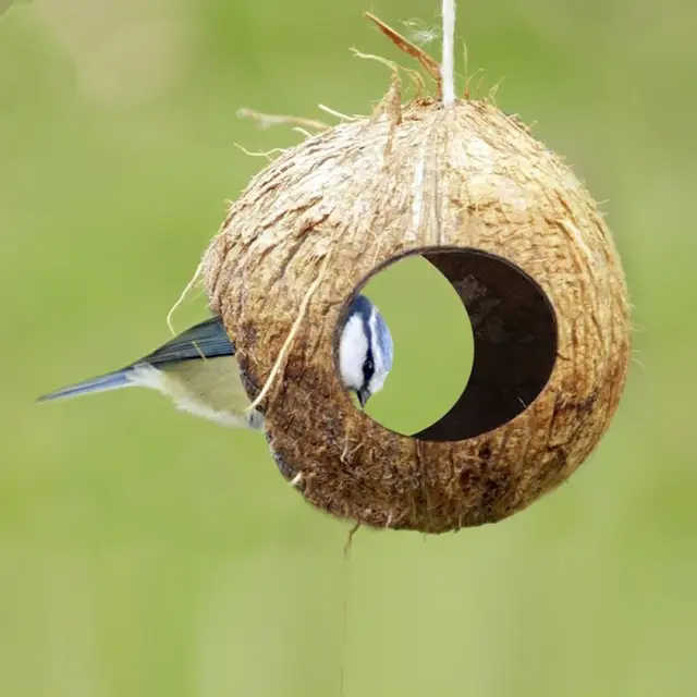 Bird Feeder Parrot Hamster Lizard Aquarium Coconut Shell Escaping