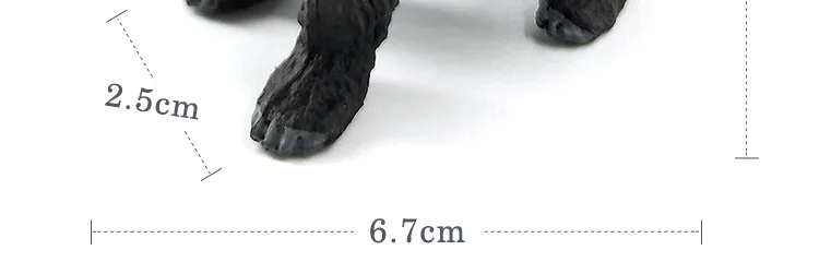 -7--MY6221_29