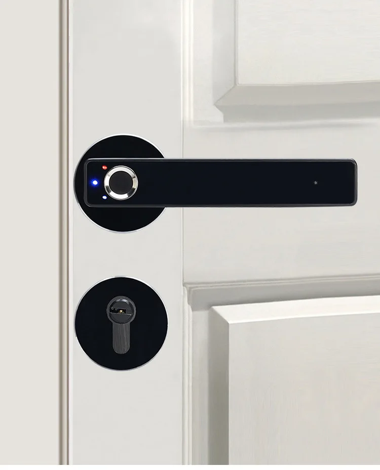 

Electronic biometric Hidden Fingerprint Lock Door Lock Intelligent semiconductor Fingerprint Lock with mechanical key
