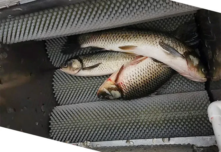 US $1.140.00 50cm rollers fish scale removing machinefish scale cleaning machine for restaurant