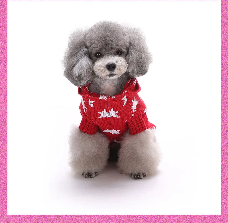 dog clothing20
