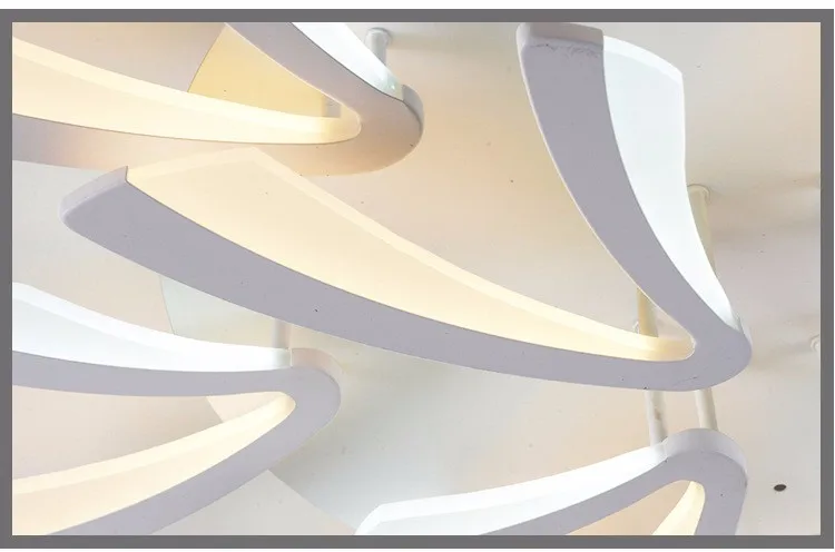 3504209819_1019503663