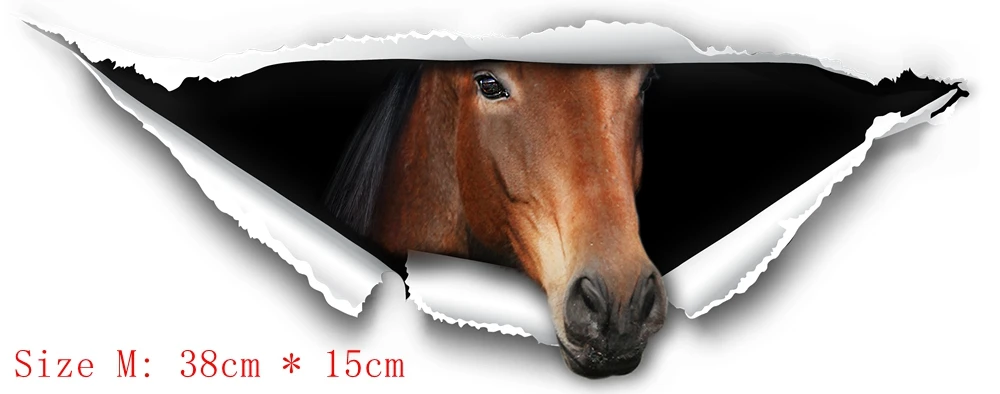 horse papper born 38.1x15