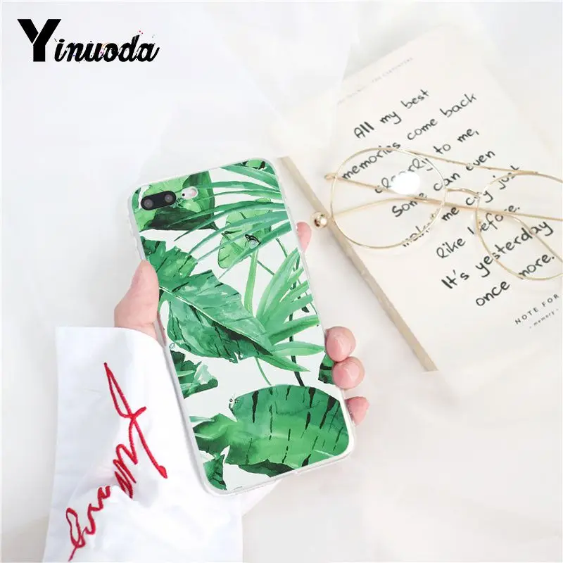 Tropical Plants Cactus Banana Leaves