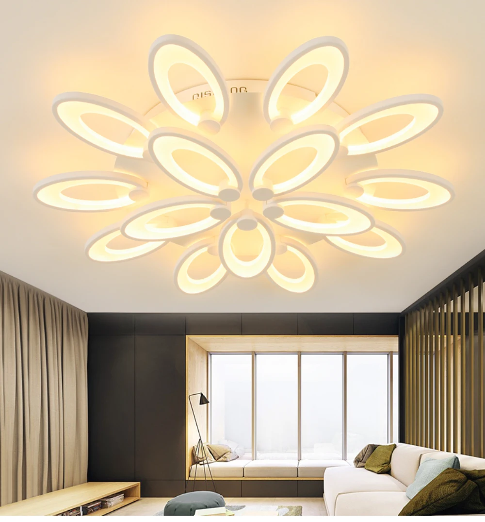 gorgeous ceiling light foyer-05